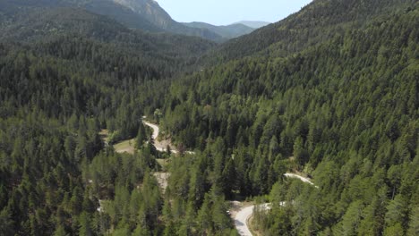 Video-De-Drones-Sobre-Un-Denso-Bosque-De-Pinos-País-Camino-Sinuoso-Montaña-Verano