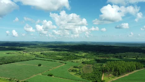 Paisaje-Aéreo-De-Los-Hermosos-Campos-De-Follaje-Agrícola-Con-Reflejos-De-Bosque-Y-Nubes-En-Paraguay