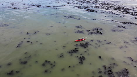 Fishing-in-a-bright-red-canoe-contrasting-the-dirty-ocean-water-filled-with-seaweed,-an-aerial-drone-shot-tracking-the-paddler