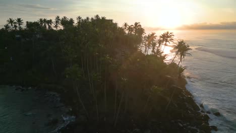 Rotating-aerial-shot-on-a-hill-with-some-coconut-trees-next-to-the-rough-sea-and-the-sunrise
