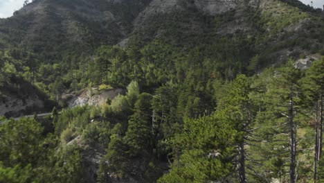 Video-De-Drones-Volando-Cerca-De-Pinos-En-Un-Bosque-Salvaje-En-El-Monte-Gramos-Grecia-Panorámica-Izquierda