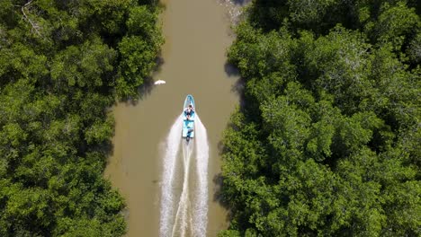 Flyover-Mangrove-Canal-Chasing-fast-Charter-Transport-Boat-leaving-wake-under-the-canopy-in-Oaxaca-Mexico
