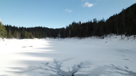 Frozen-Caumasee-Lake-With-Dense-Trees-In-The-Forest-In-Flims,-Switzerland