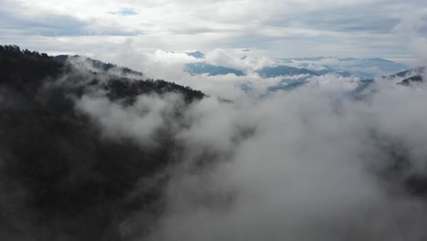 Drone-Video-flying-over-sea-of-clouds-and-mountains-,-deep-in-pine-wild-forest-Mount-Gramos-Northern-Greece