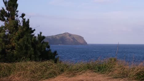Hermoso-Paisaje-Natural-Campos-De-Hierba-Y-Océano-Azul-En-La-Isla-De-Jeju