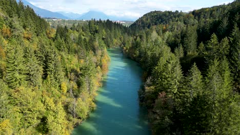Forest-River-in-Stunning-Nature-Landscape-in-Radovljica,-Slovenia---Aerial-Drone-Flight