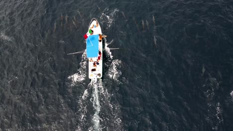 Drone-overhead-mahi-fishing-charter-boat-in-puerto-escondido-pacific-ocean-mexico-with-thousands-of-jumping-spinner-dolphins-in-a-pod-surrounding-the-vessel-in-semi-rough-agitated-seas
