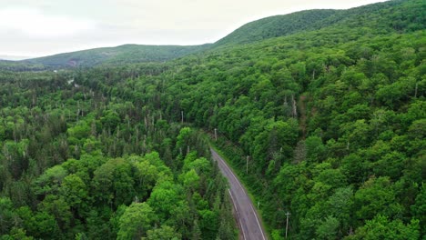 Drone-of-summer-green-trees-over-rural-road-with-no-cars-and-hills
