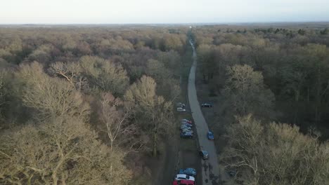 Long-woodland-road-through-National-trust-Ashridge-estate-aerial-view-high-over-autumn-woodland-forest-countryside
