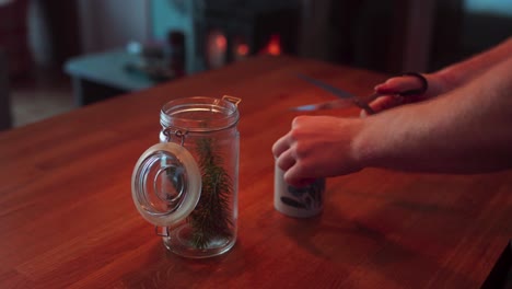 Person-Cutting-Pine-Tree-Leaves-Into-Cup