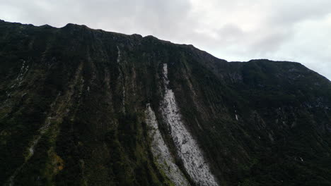 Forest-destroyed-by-massive-landslide,-Milford-Sound,-New-Zealand