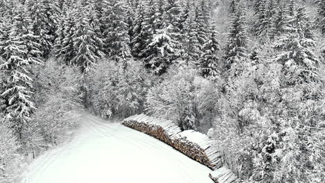 Stapel-Von-Baumstämmen,-Die-Im-Winter-Aus-Einem-Nadelwald-Geerntet-Wurden---Aufsteigende-Luftaufnahme-Der-Verschneiten-Landschaft
