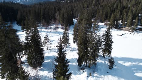 Ascending-aerial-shot-over-a-forest-and-a-snowy-landscape-and-a-mountainous-horizon