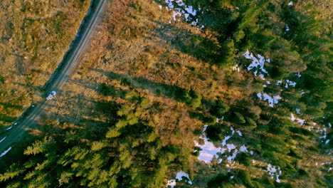 Aerial-view-of-a-beautiful-road-with-car-inside-of-a-forest-with-green-trees