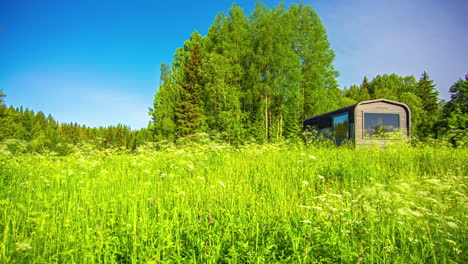 Timelapse-of-a-green-meadow-with-vegetation-and-trees-next-to-a-wooden-cabin