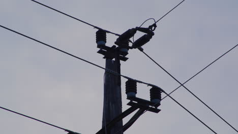 Close-up-of-an-electricity-pylon-at-sunrise.