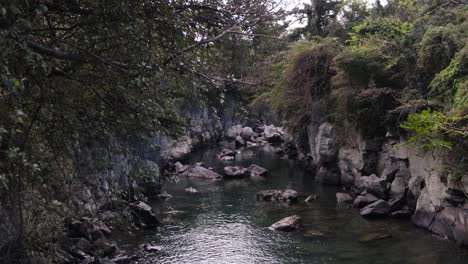 Agua-De-Río-Que-Fluye-A-Través-De-La-Selva-Y-El-Bosque-En-La-Naturaleza-De-Corea-Del-Sur