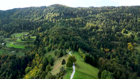 Wunderschöne-Grüne-Landschaft-Im-Slowenischen-Bergwald,-Luftdrohnenansicht