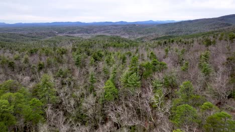 aerial-over-pine-and-hardwood-forest-in-the-pisgah-national-forest-in-nc,-north-carolina