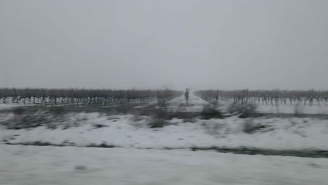 View-of-snow-covered-vineyards-and-farmland-while-driving-through-countryside,-Israel