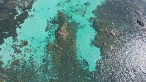 Luftaufnahme-Eines-Fischschwarms,-Der-Im-Ruhigen-Türkisfarbenen-Wasser-Der-Bunker-Bay-Im-Westen-Australiens-Zuflucht-Sucht