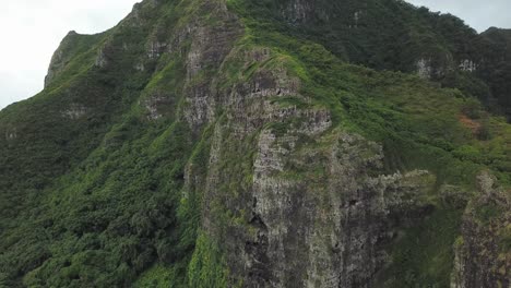 Hockender-Löwen-Wanderweg-In-Honolulu,-Hawaii,-Der-Eine-Grüne-Felsige-Klippe-Zeigt-–-Luftaufnahme,-Neigung