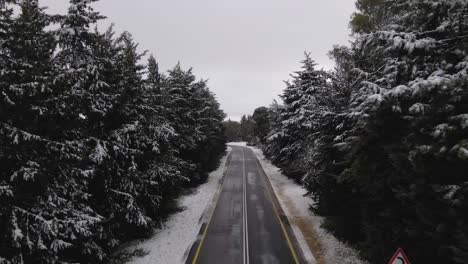 Low-aerial-drone-view-following-two-lane-road-through-snow-covered-trees,-Israel