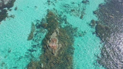 Aerial-of-school-of-fish-sheltering-in-the-calm-turquoise-waters-of-bunker-bay-in-Western-Australia