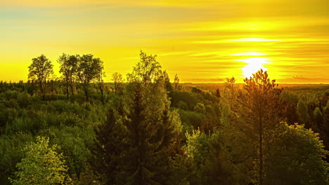 Goldener-Sonnenaufgang-Bei-Horizontbeleuchtung-Auf-Landschaft-Und-Wald-In-Der-Wildnis-Am-Morgen,-Zeitraffer