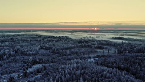 Winter-frozen-woodland-and-dim-sunset-in-far-distance,-aerial-drone-view