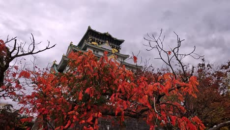 Blick-Auf-Die-Berühmte-Burg-Osaka-In-Japan
