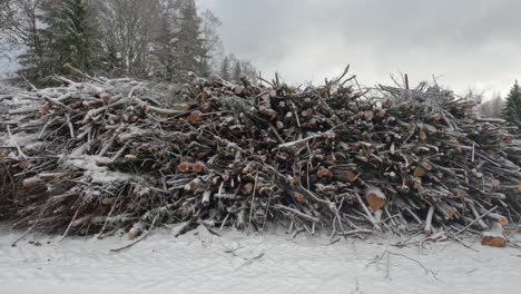 Sticks-and-logs-piled-high-for-firewood-during-a-snowy-winter-day
