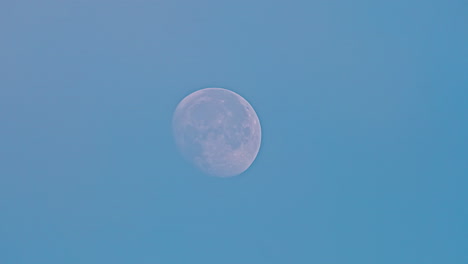 Time-lapse-zoom-shot-of-white-full-moon-rising-up-at-blue-sky-outdoors