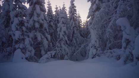 Mann-Mit-Alaskan-Malamute-Hund-Im-Verschneiten-Winterpark-In-Indre-Fosen,-Norwegen---Breit