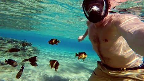 Snorkeling-in-the-Red-Sea-with-fish-in-crystal-clear-water