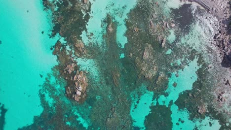Aerial-topdown-flying-up-higher-turquoise-waters-of-bunker-bay-in-Western-Australia