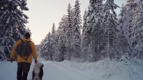 Hombre-Con-Su-Perro-Caminando-Por-Un-Bosque-Cubierto-De-Nieve-Durante-El-Invierno