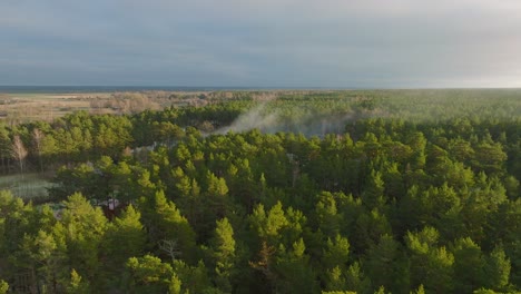 Aerial-establishing-view-of-fresh-green-pine-tree-forest,-distant-rising-smoke-clouds,-Nordic-woodland,-forest-trail,-sunny-evening,-golden-hour-light,-drone-shot-moving-backward