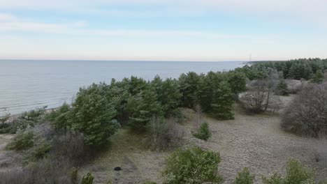 Beautiful-aerial-establishing-view-of-Baltic-sea-coast,-overcast-winter-day,-calm-beach-with-white-sand,-pine-tree-forest,-coastal-erosion,-climate-changes,-wide-drone-shot-moving-forward