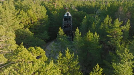 Aerial-establishing-view-of-modern-boat-shaped-observation-watchtower-in-the-middle-of-pine-tree-forest,-Nordic-woodland,-forest-trail,-sunny-evening,-golden-hour-light,-drone-shot-moving-backward