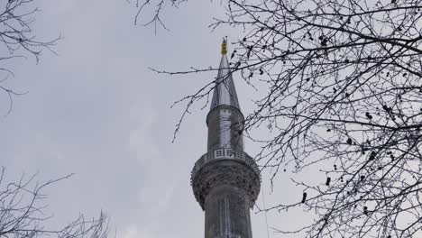 Mezquita-Azul-En-Estambul,-Turquía-Detrás-De-Los-árboles