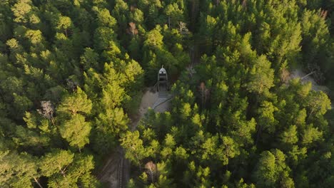 Aerial-birdseye-view-of-modern-boat-shaped-observation-watchtower-in-the-middle-of-pine-tree-forest,-Nordic-woodland,-forest-trail,-sunny-evening,-golden-hour-light,-drone-shot-moving-backward