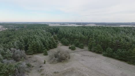 Beautiful-aerial-establishing-view-of-Baltic-sea-coast-woodland,-overcast-winter-day,-pine-tree-forest,-distant-wind-turbines,-coastal-erosion,-climate-changes,-wide-drone-shot-moving-forward