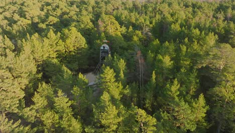 Aerial-birdseye-view-of-modern-boat-shaped-observation-watchtower-in-the-middle-of-pine-tree-forest,-Nordic-woodland,-forest-trail,-sunny-evening,-golden-hour-light,-orbiting-drone-shot