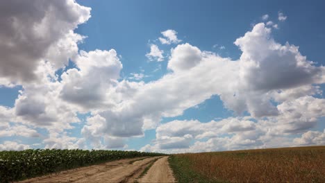 Movimiento-De-Nubes-En-Timelapse-Sobre-Campo-Agrícola