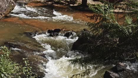 Mächtiger-Fluss,-Der-über-Die-Schlucht-Am-Datanla-Wasserfall-In-Da-Lat,-Vietnam,-Fließt
