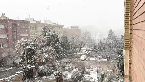 pine-forest-in-the-city-in-winter-snow-heavy-snowfall-in-urban-area-in-Tehran-Iran-brick-architectural-design-street-light-parking-cars-covered-in-cold-desert-climate-in-middle-east-peole-living-safe