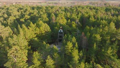 Aerial-birdseye-view-of-modern-boat-shaped-observation-watchtower-in-the-middle-of-pine-tree-forest,-Nordic-woodland,-forest-trail,-sunny-evening,-golden-hour-light,-wide-drone-orbiting-shot