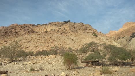 desert-mountains-Ein-Gedi-En-Gedi-Israel-Biblical-Site-Oasis-Spring