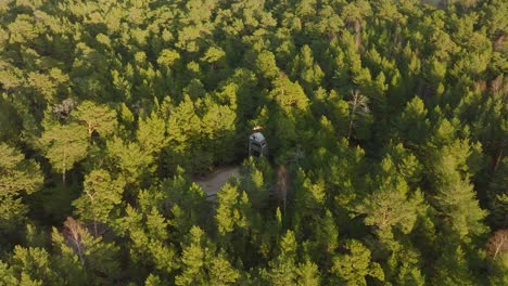 Aerial-birdseye-view-of-modern-boat-shaped-observation-watchtower-in-the-middle-of-pine-tree-forest,-Nordic-woodland,-forest-trail,-sunny-evening,-golden-hour-light,-wide-drone-shot-moving-forward